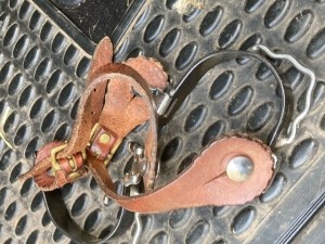 Pre-Owned Bumper spurs with ladies straps