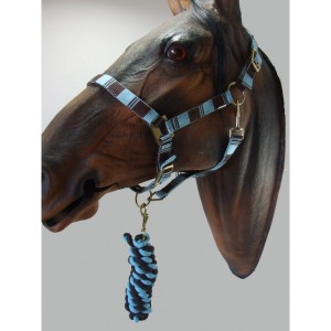 Check headcollar with Lead rope set