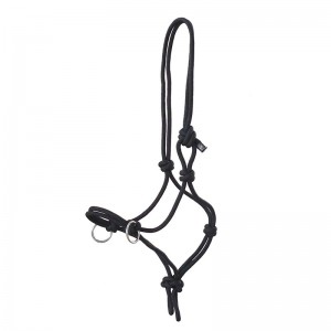 Rope Halter with rein rings